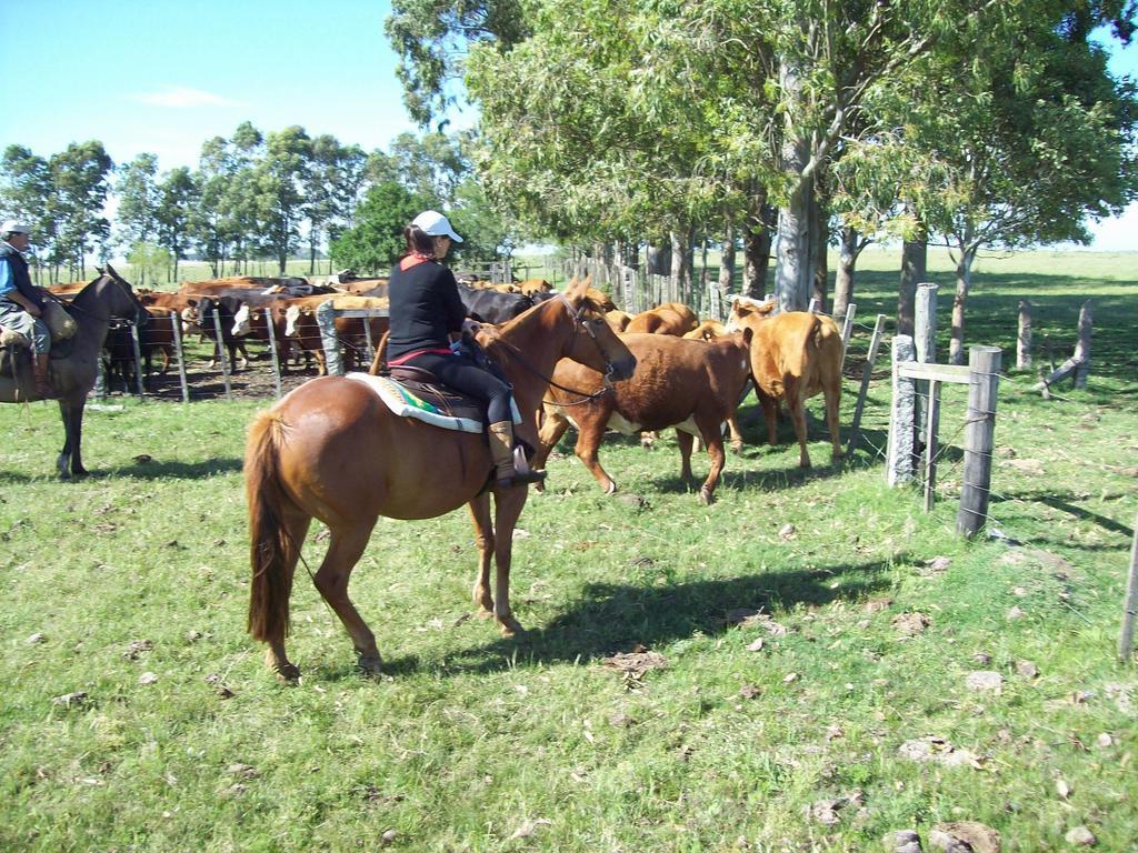 Estancia Turistica La Amorosa Trinidad Zimmer foto
